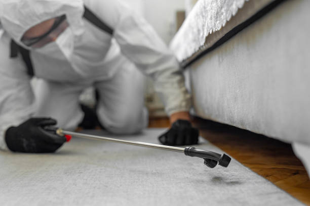 Professional Termite Control technician working in Oakland, OR