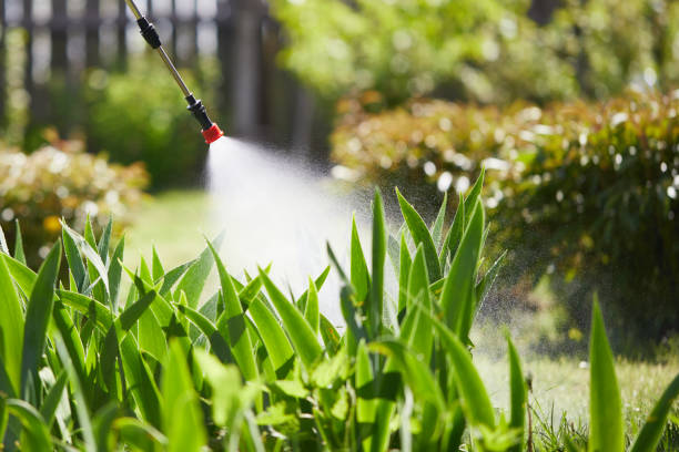 24/7 Emergency Termite Control experts in Oakland, OR
