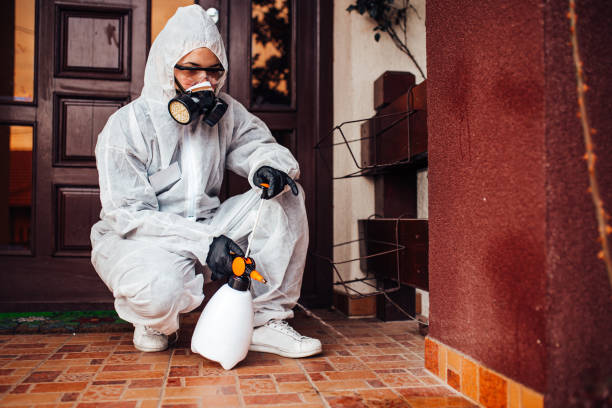 Reliable Termite Control contractor in Oakland, OR by Nex Pest Control