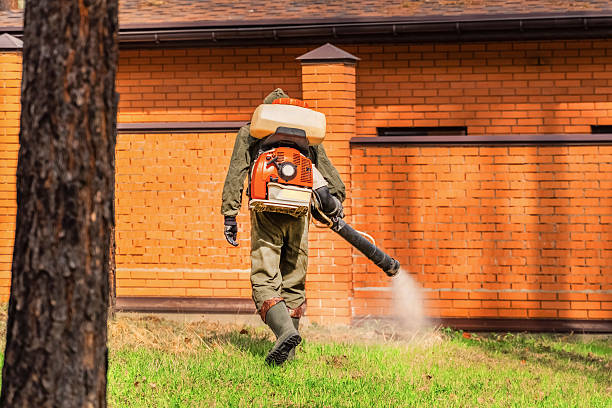 Top rated local Termite Control specialists in Oakland, OR